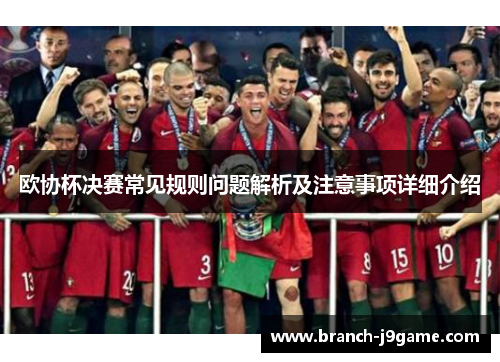 欧协杯决赛常见规则问题解析及注意事项详细介绍