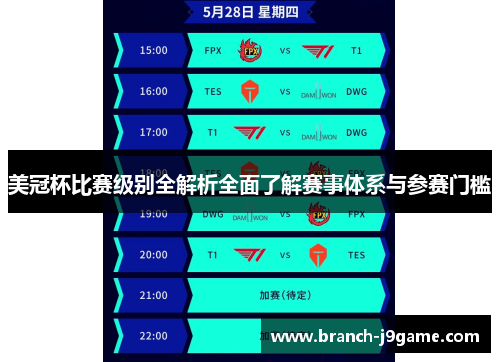 美冠杯比赛级别全解析全面了解赛事体系与参赛门槛