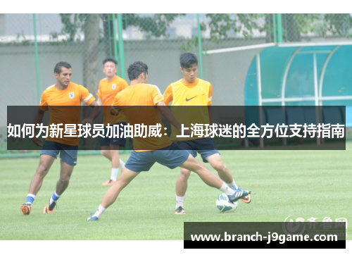 如何为新星球员加油助威：上海球迷的全方位支持指南