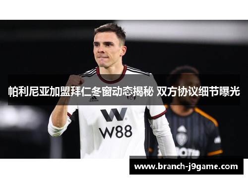 帕利尼亚加盟拜仁冬窗动态揭秘 双方协议细节曝光