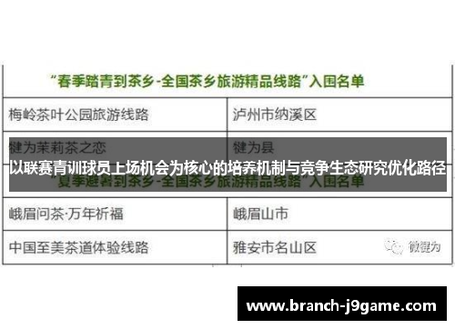 以联赛青训球员上场机会为核心的培养机制与竞争生态研究优化路径
