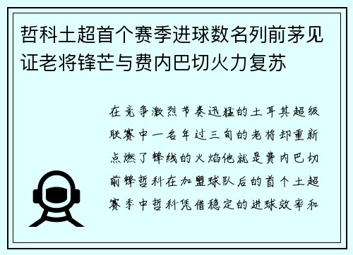 哲科土超首个赛季进球数名列前茅见证老将锋芒与费内巴切火力复苏